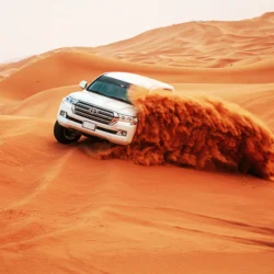 Evening Desert Safari