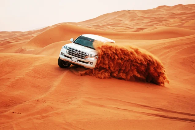 Evening Desert Safari