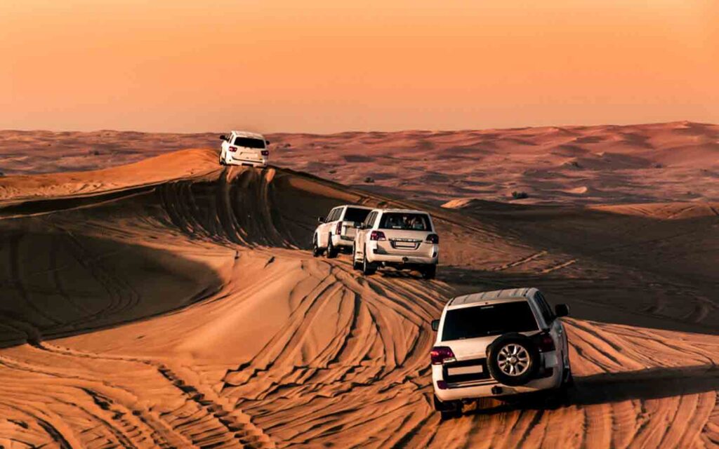 Evening Desert Safari