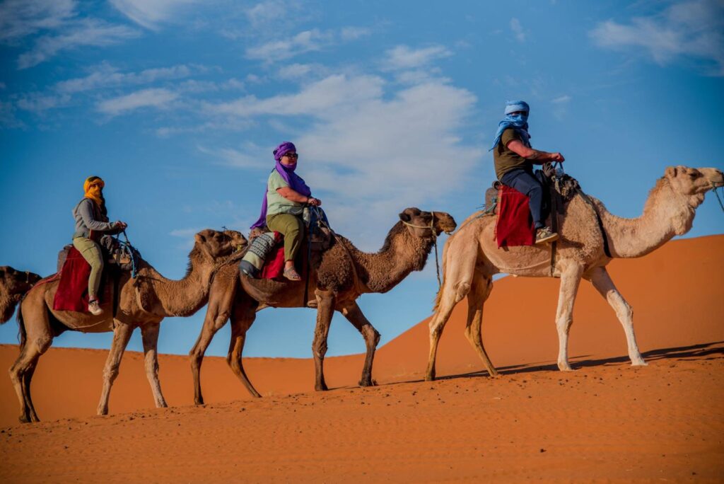 Camel Trekking