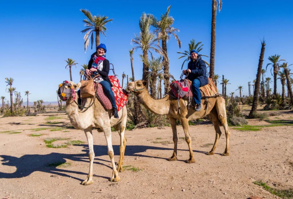 Eco-Tourism and Camel Riding
