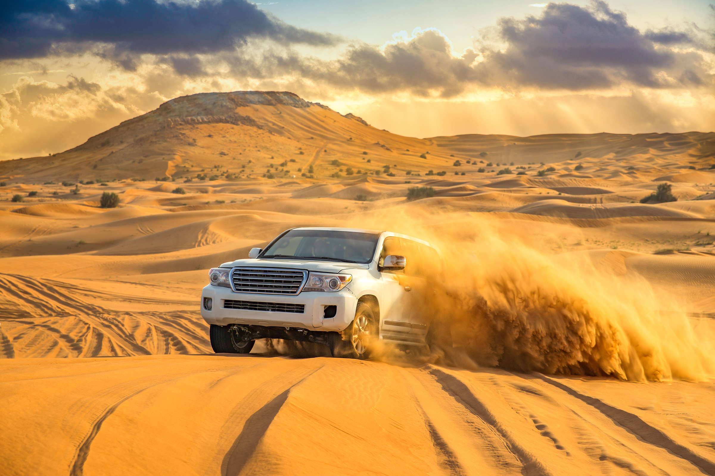 Desert Safari Package