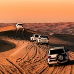 Morning Safari Over Evening