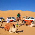 Desert Safari Tour Dubai