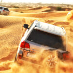 Book a Morning Safari