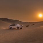 Desert Safari Dreams