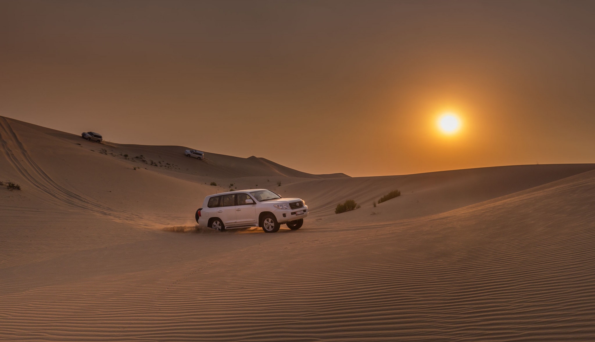 Desert Safari Dreams