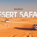 evening desert safari dubai