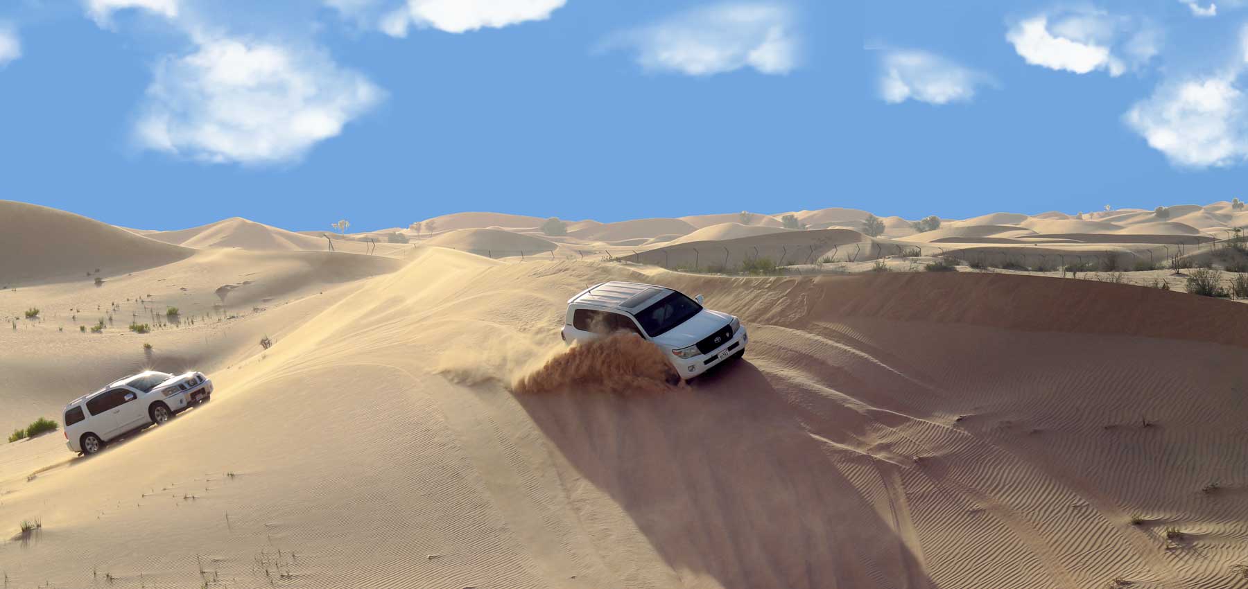 Desert Safari Way