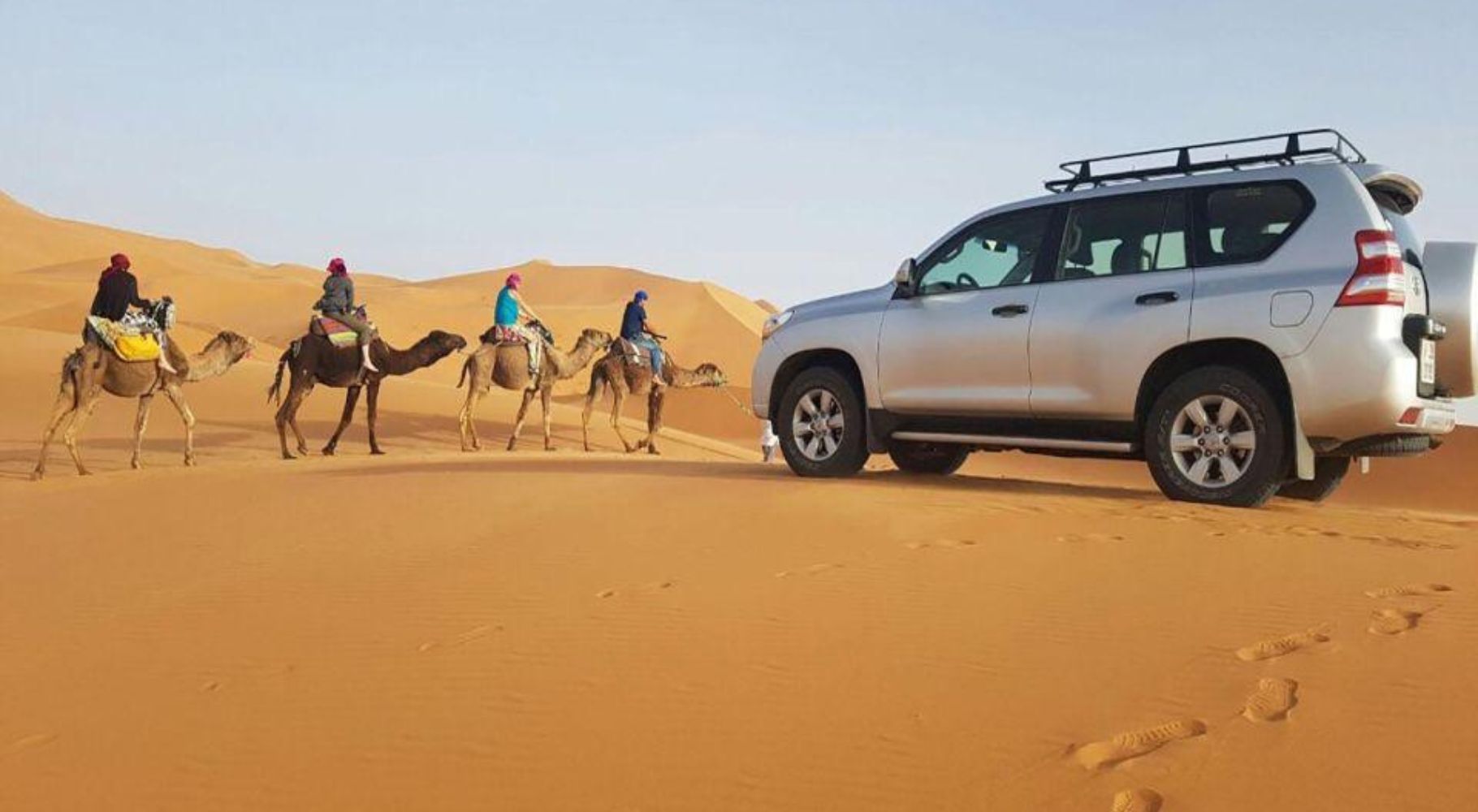 Experience the Desert’s