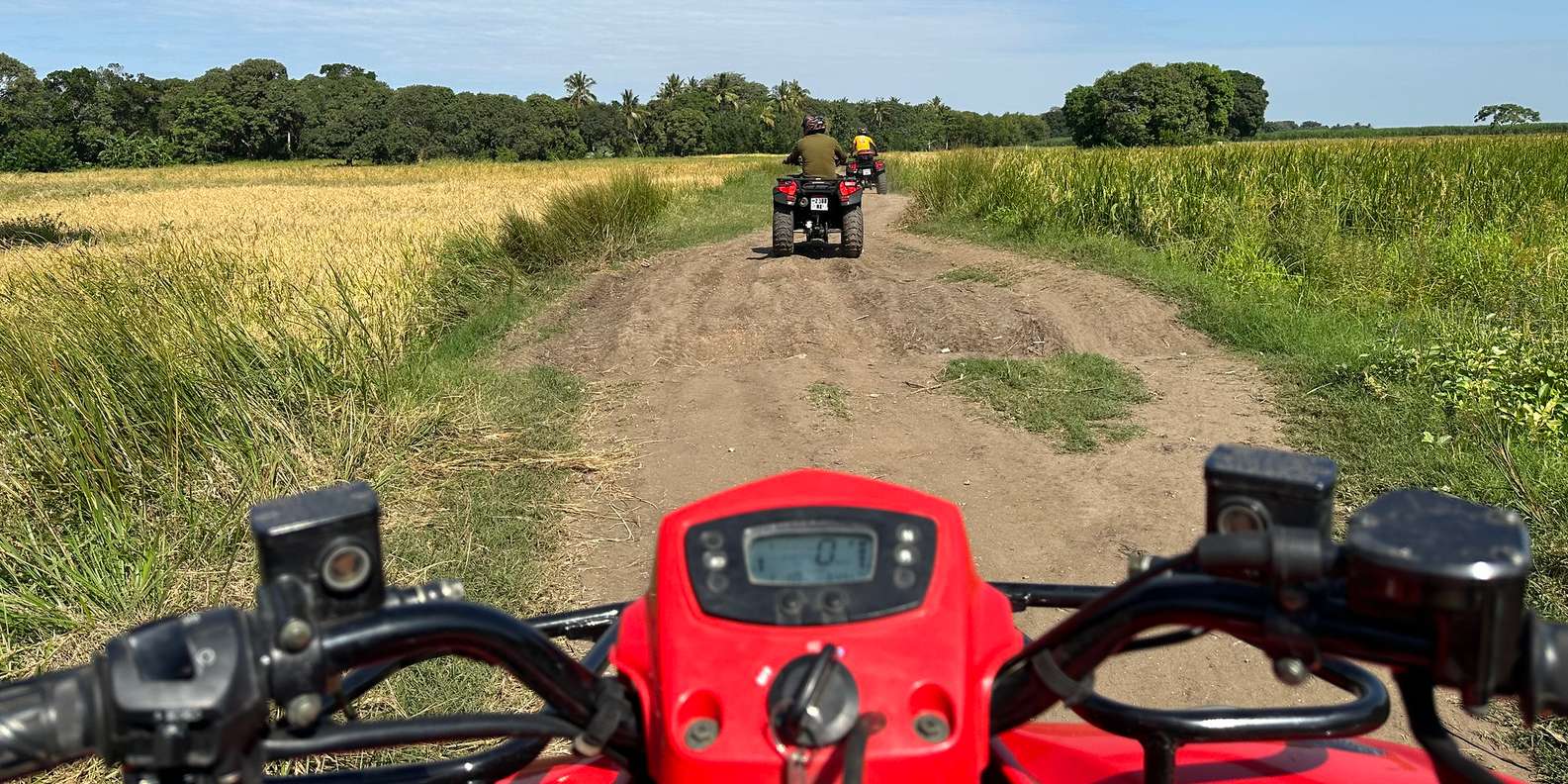 Ultimate Quad Biking