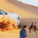 Desert Safari Experience