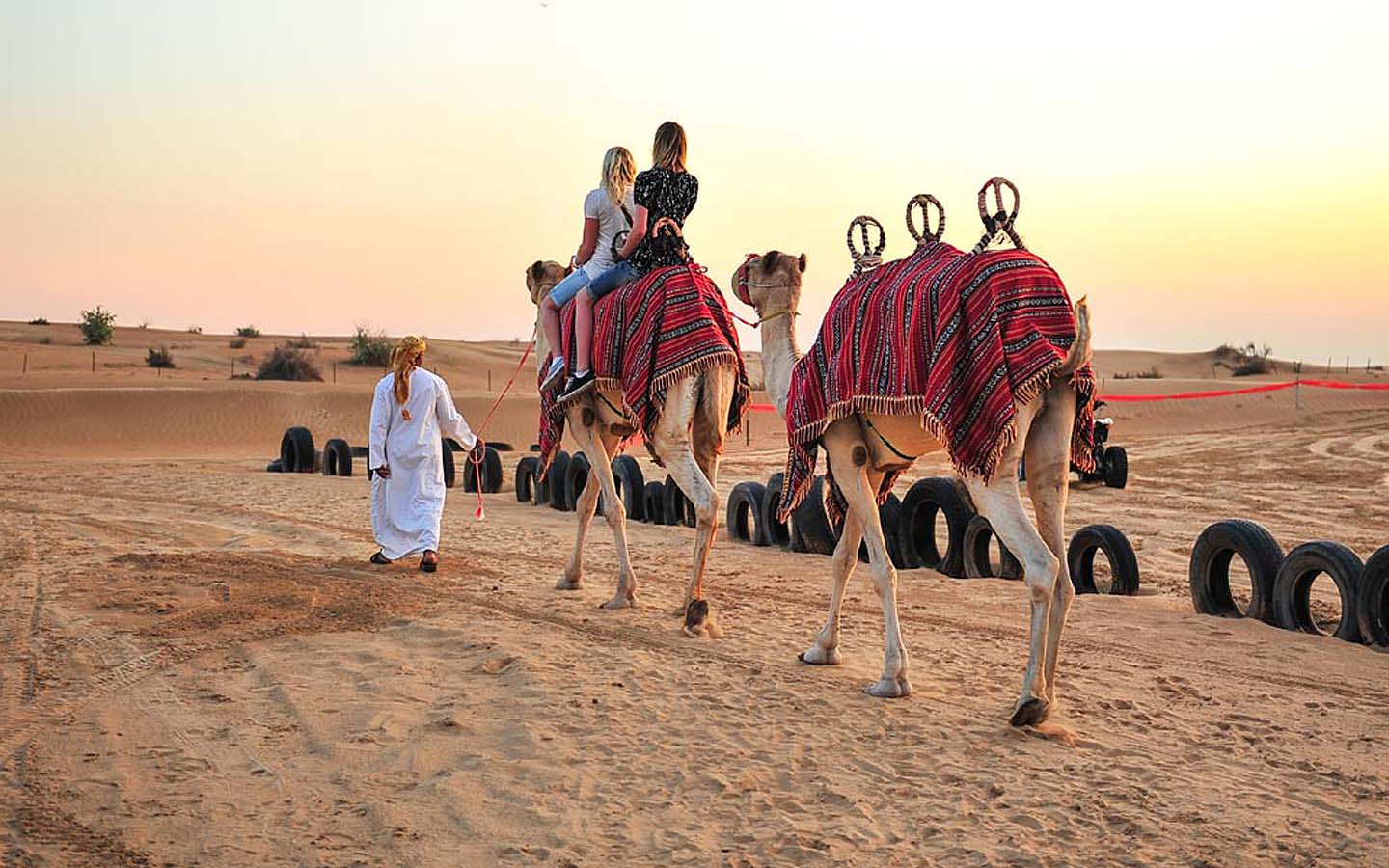 Perfect Desert Safari