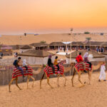 Exciting Dubai Desert