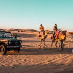 Desert Safari Tours in Dubai