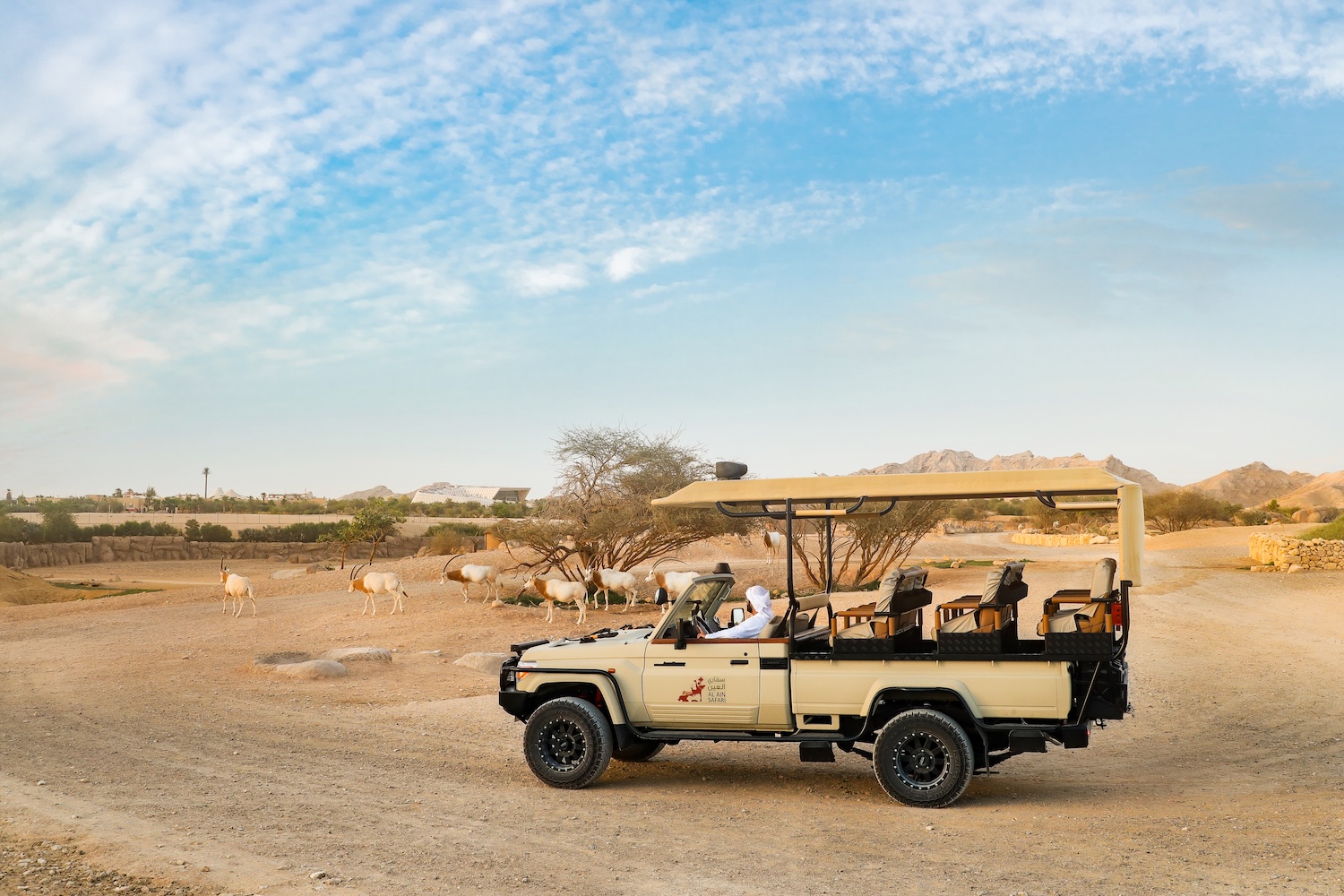 Safari Tours Al Ain