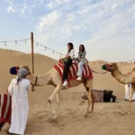 Unforgettable Night Desert