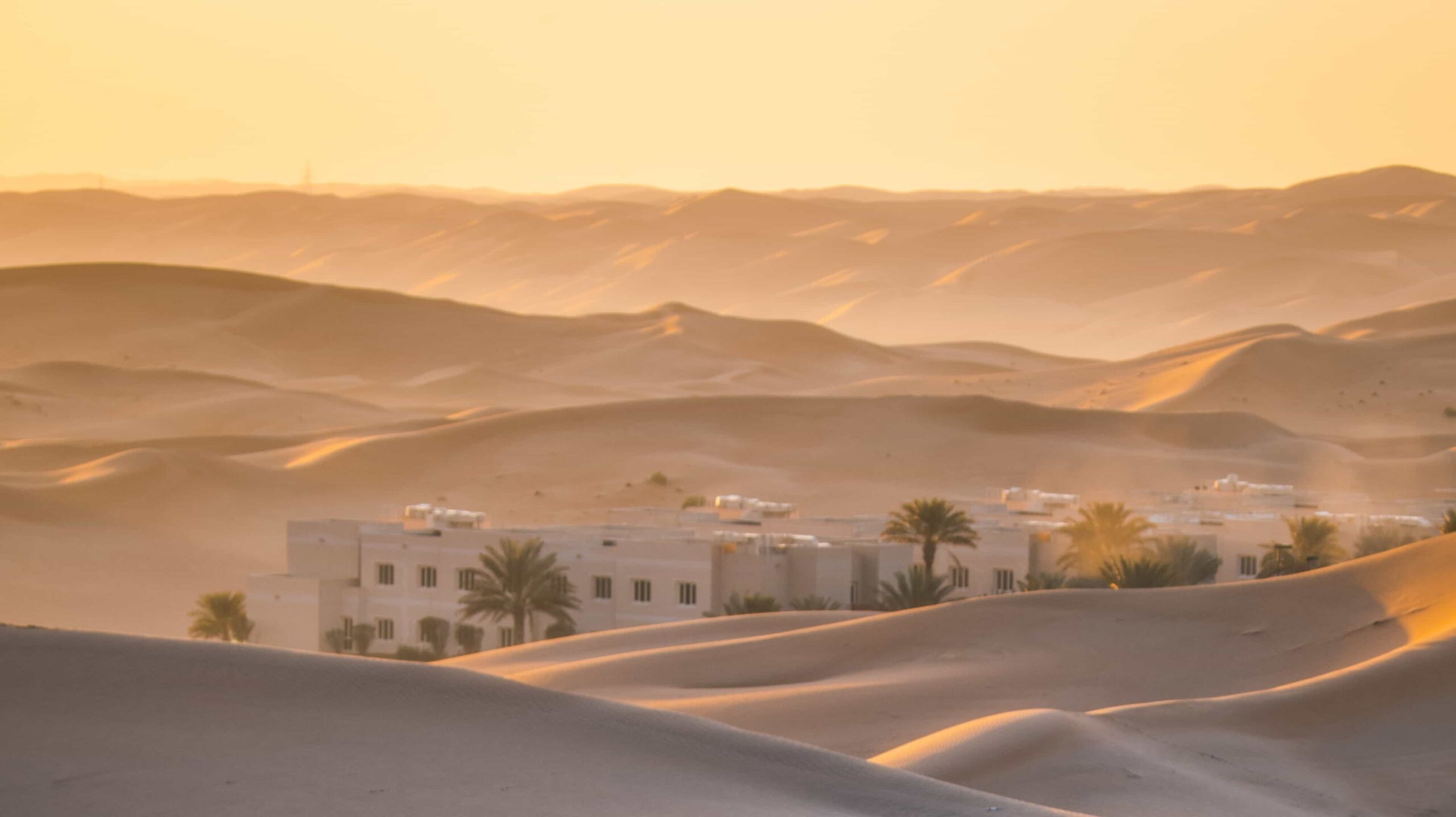 Abu Dhabi Evening Desert