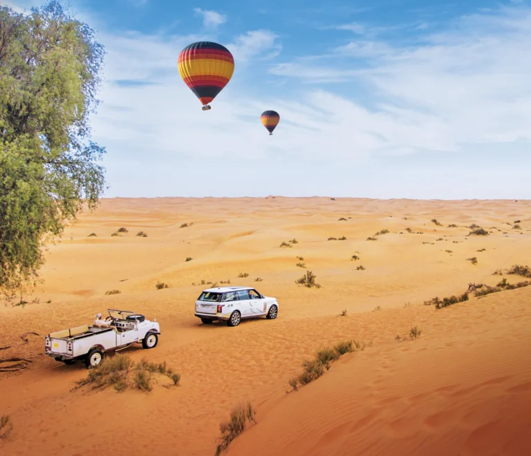 Desert Safari Near Me