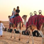 Exclusive Evening Desert