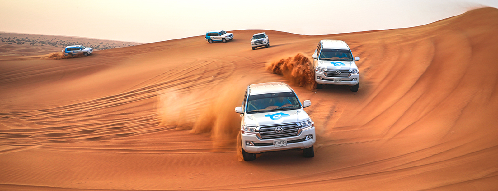 Best Dune Bashing