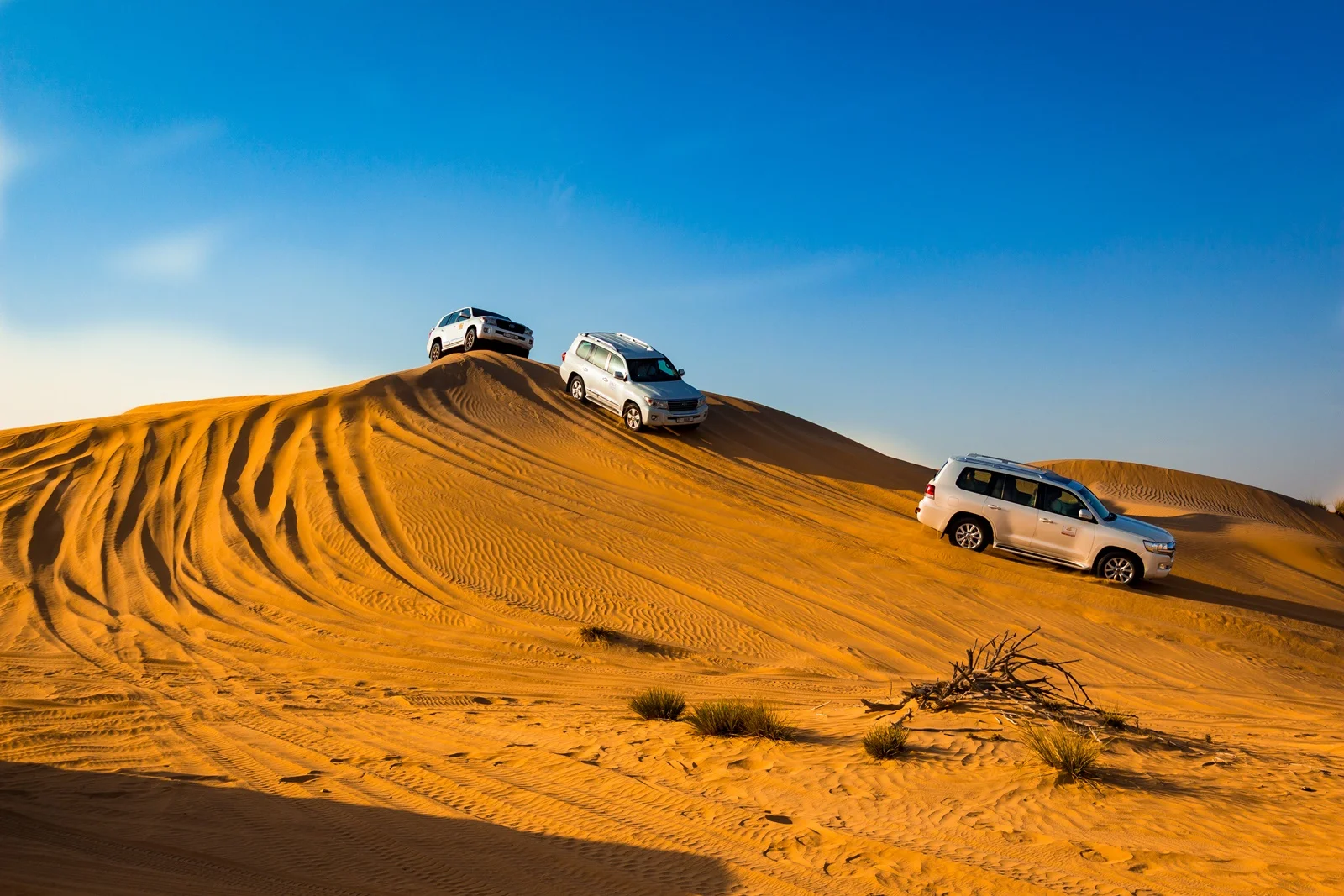 Desert Safari with Dune
