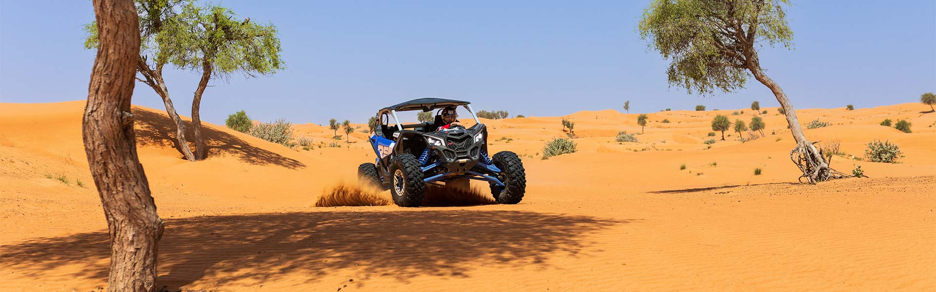 Best Dune Bashing Experience